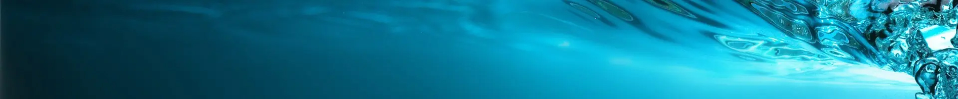 發(fā)展歷程